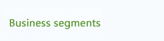 business segments
