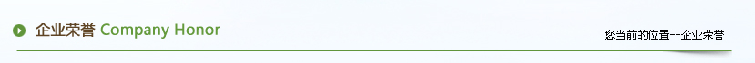 企业荣誉